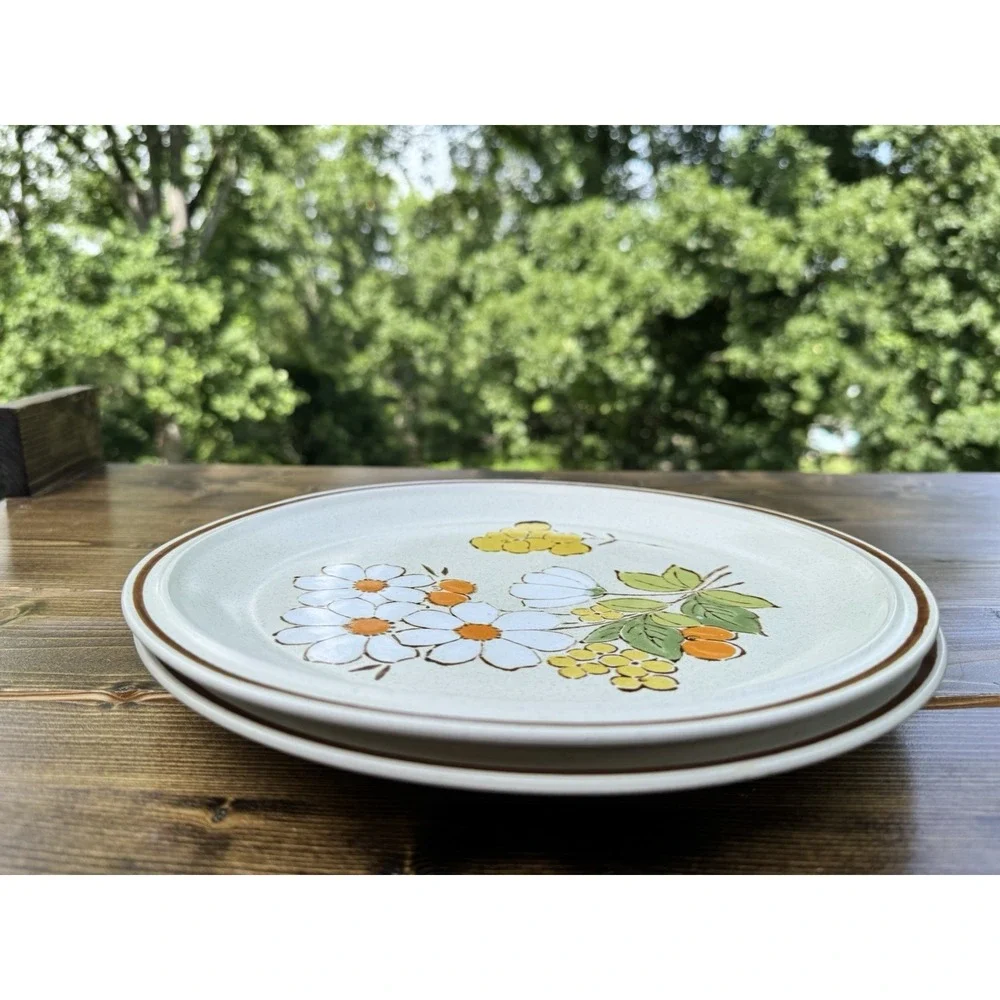 Floral Expressions Summertime Dinner Plates Set of 2 Japan Heartside Stoneware 1
